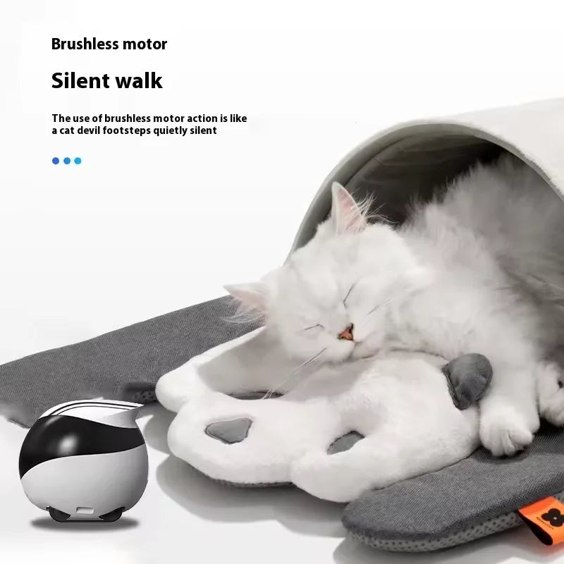 Robot de compañía y cámara de vigilancia inalámbrica Enabot EBO Air / EBO SE - Control en tiempo real para el hogar y mascotas